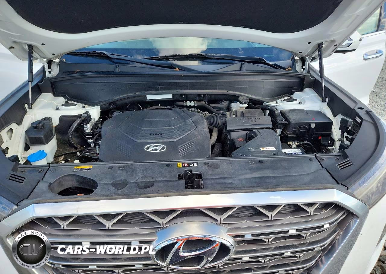 2020 Hyundai Palisade Limited VIN:KM8R5DHEXLU037808 - 12