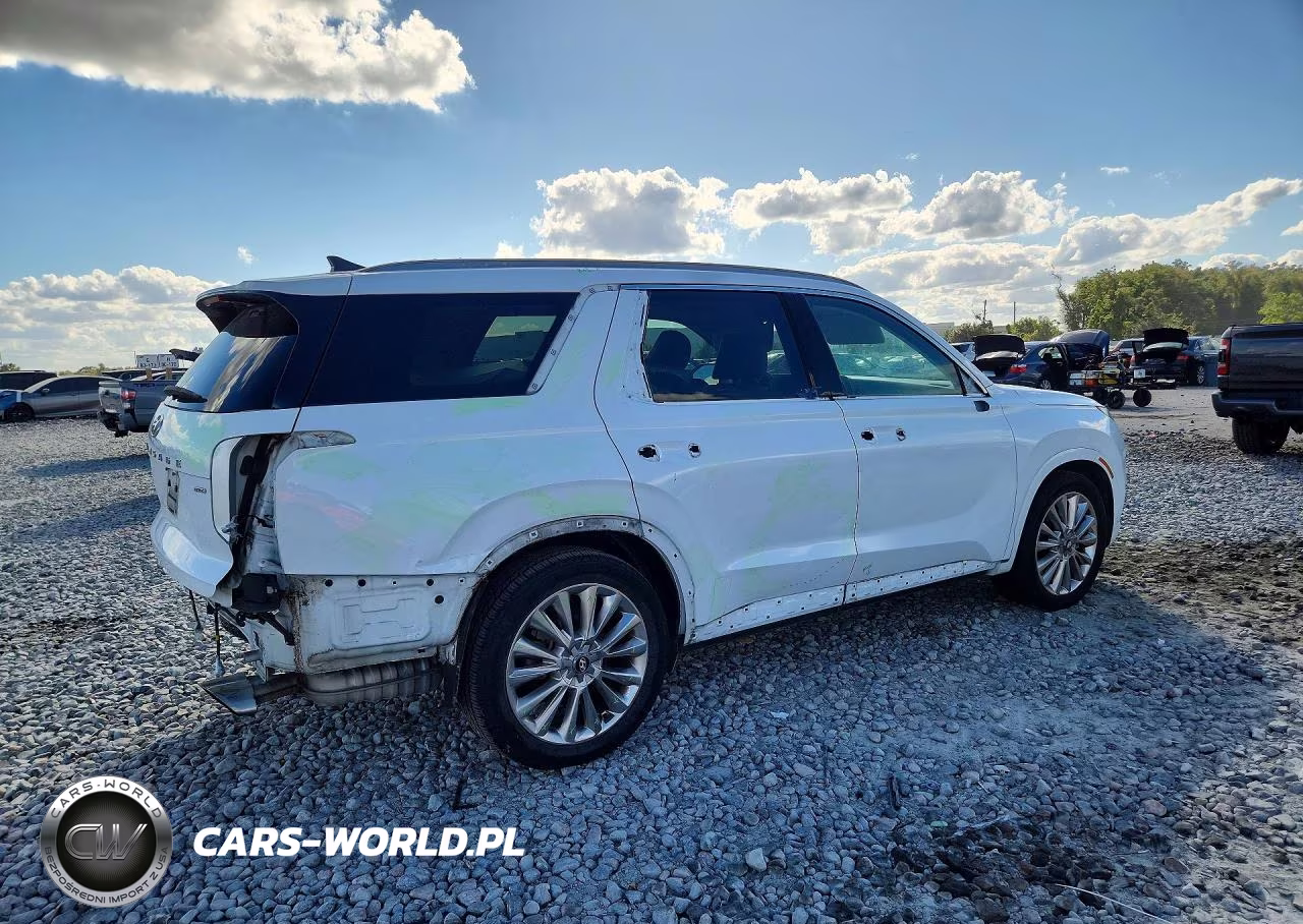 2020 Hyundai Palisade Limited VIN:KM8R5DHEXLU037808 - 3