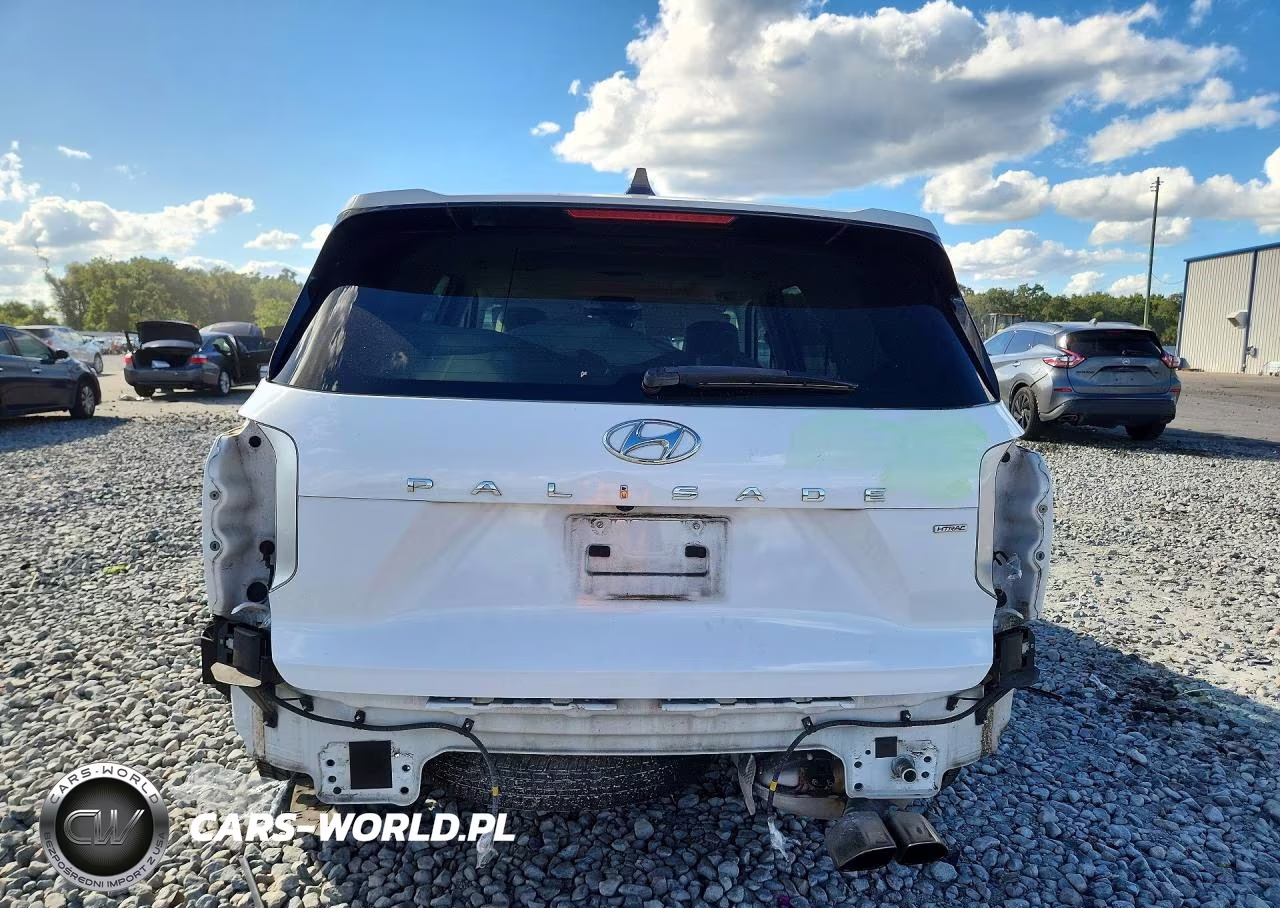 2020 Hyundai Palisade Limited VIN:KM8R5DHEXLU037808 - 6