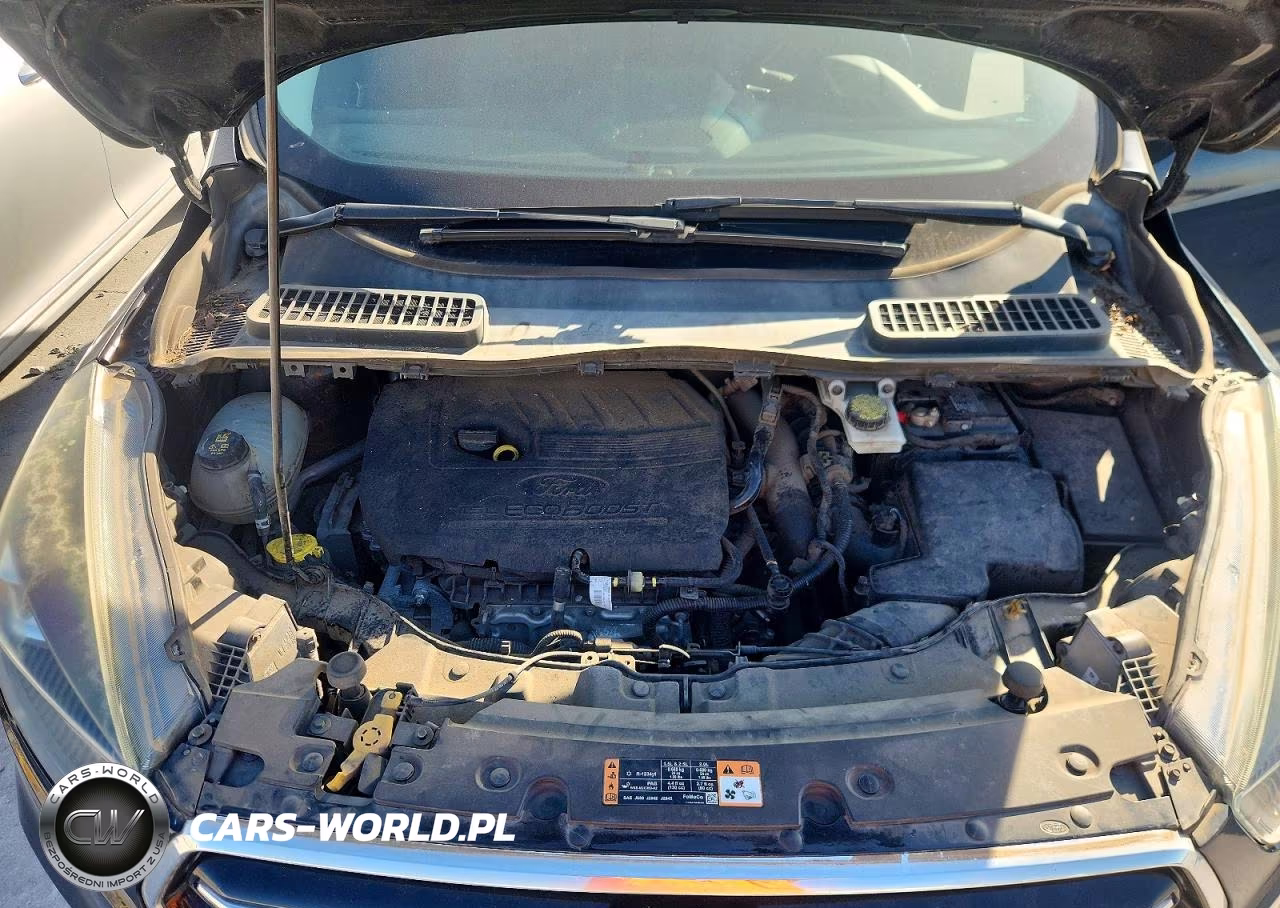 2017 Ford Escape Se VIN:1FMCU0GD3HUB08123 - 12