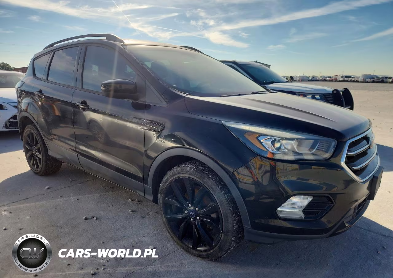 2017 Ford Escape Se VIN:1FMCU0GD3HUB08123 - 4