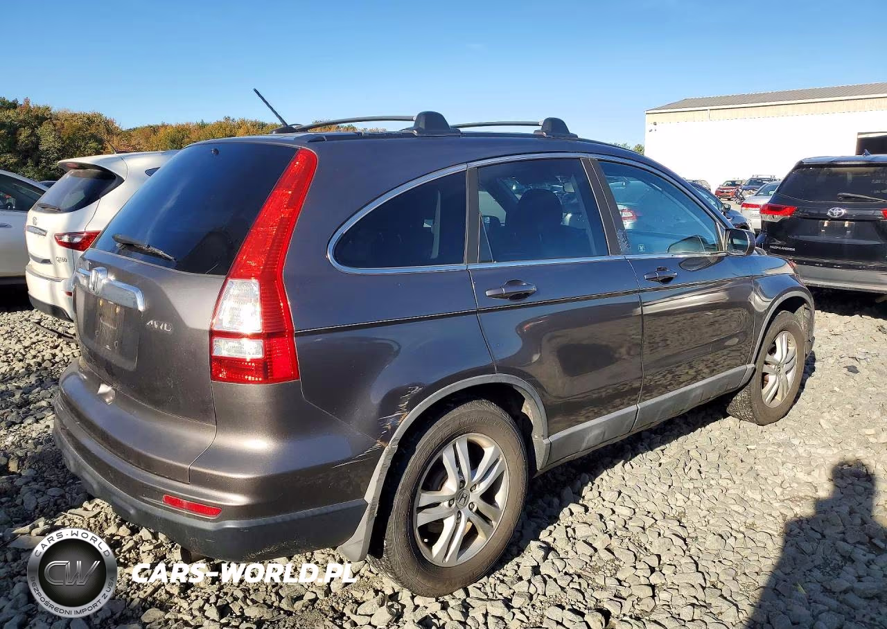 2010 Honda Cr-V Exl VIN:5J6RE4H7XAL005492 - 3