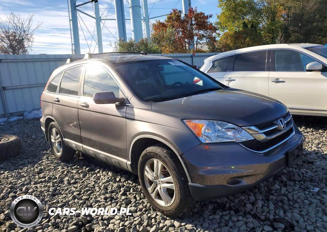 2010 Honda Cr-V Exl VIN:5J6RE4H7XAL005492 - 4