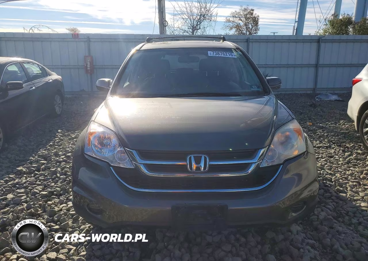 2010 Honda Cr-V Exl VIN:5J6RE4H7XAL005492 - 5