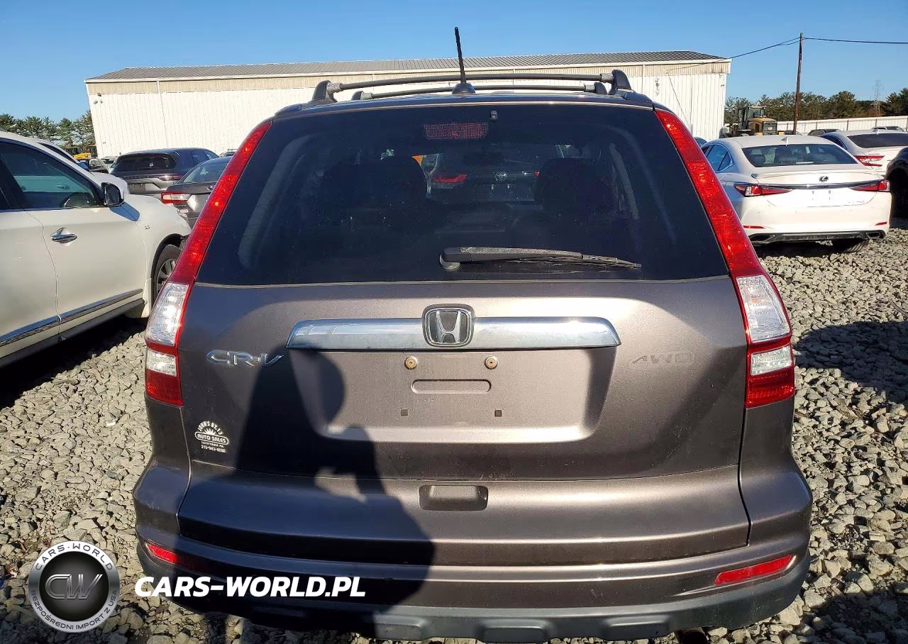 2010 Honda Cr-V Exl VIN:5J6RE4H7XAL005492 - 6