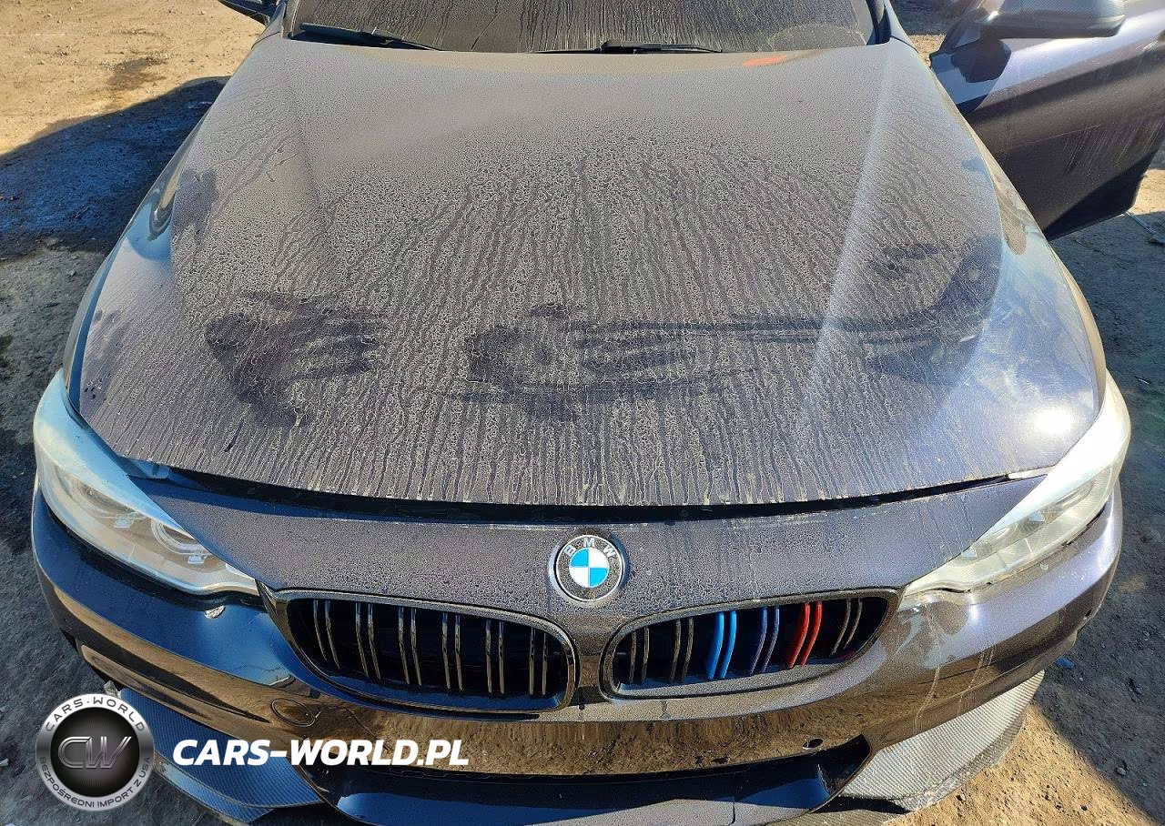 BMW 435 XI GRA VIN:WBA4B3C55GG344863 - 11