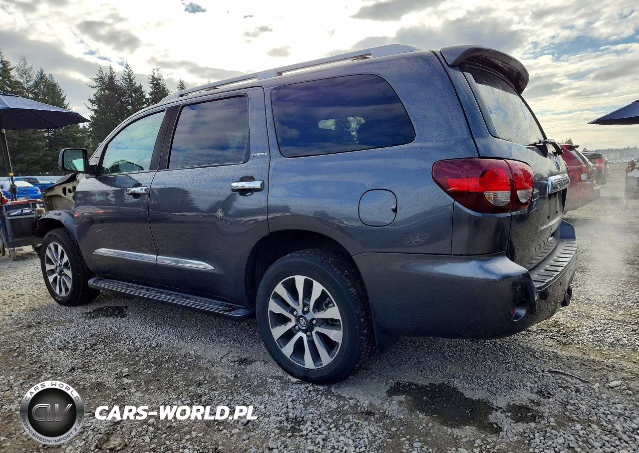 2019 Toyota Sequoia Limited VIN:5TDJY5G1XKS172089 - 2