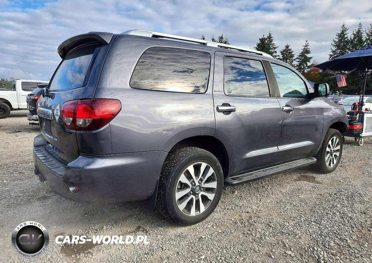 2019 Toyota Sequoia Limited VIN:5TDJY5G1XKS172089 - 3