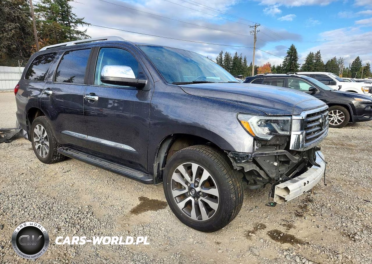 2019 Toyota Sequoia Limited VIN:5TDJY5G1XKS172089 - 4