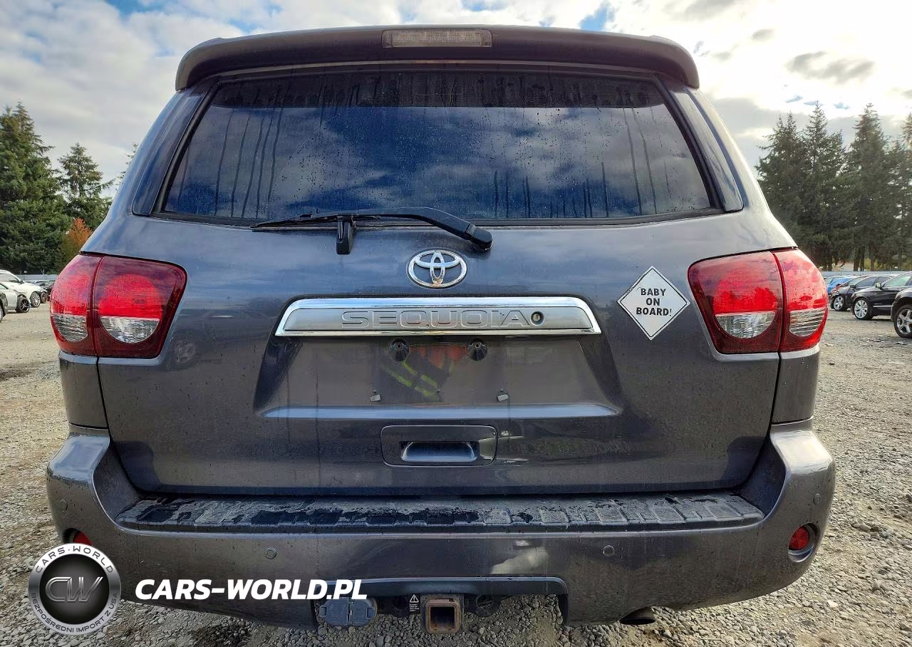2019 Toyota Sequoia Limited VIN:5TDJY5G1XKS172089 - 6