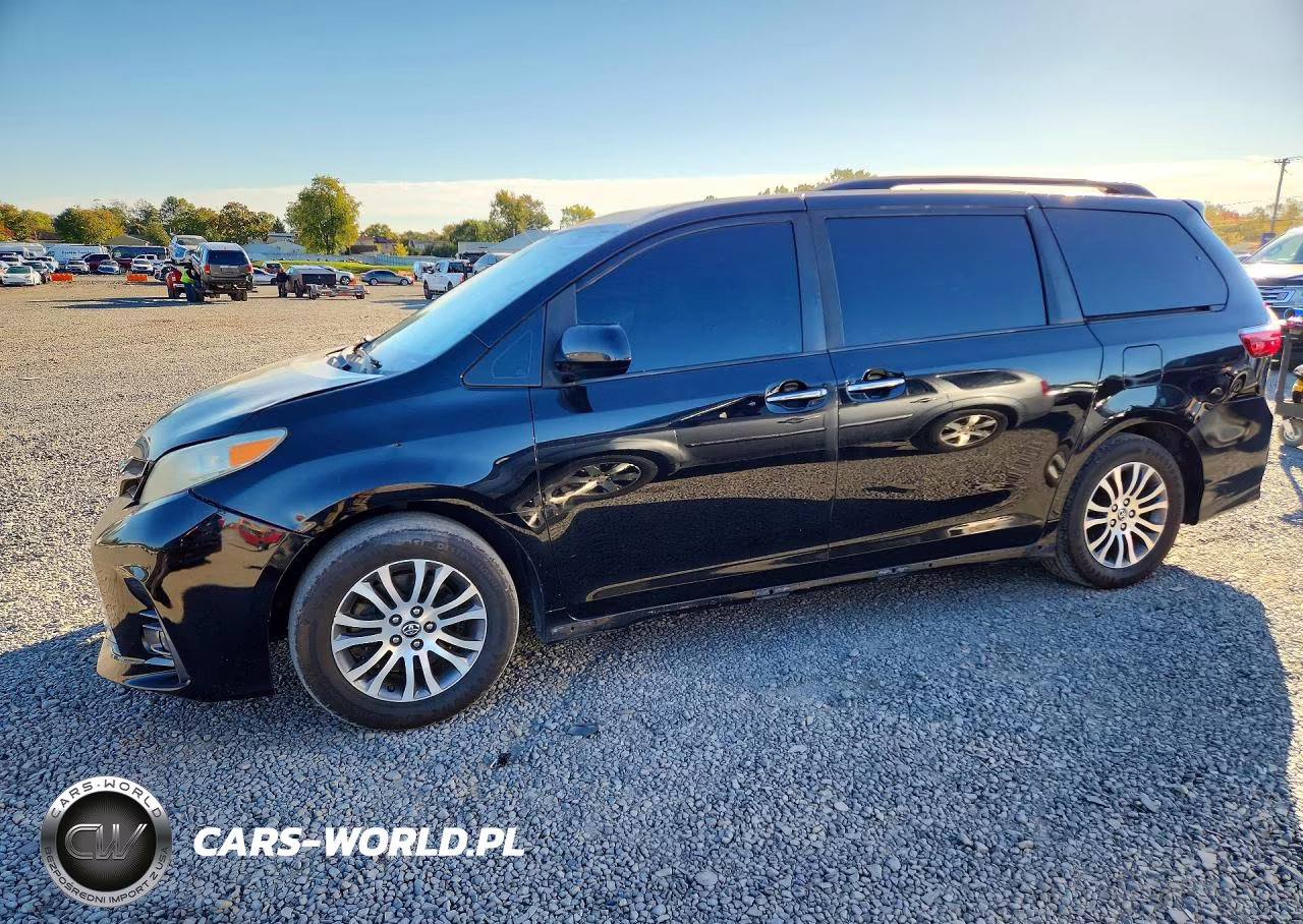 2019 Toyota Sienna Xle 8-Passenger VIN:5TDYZ3DC1KS990008 - 1