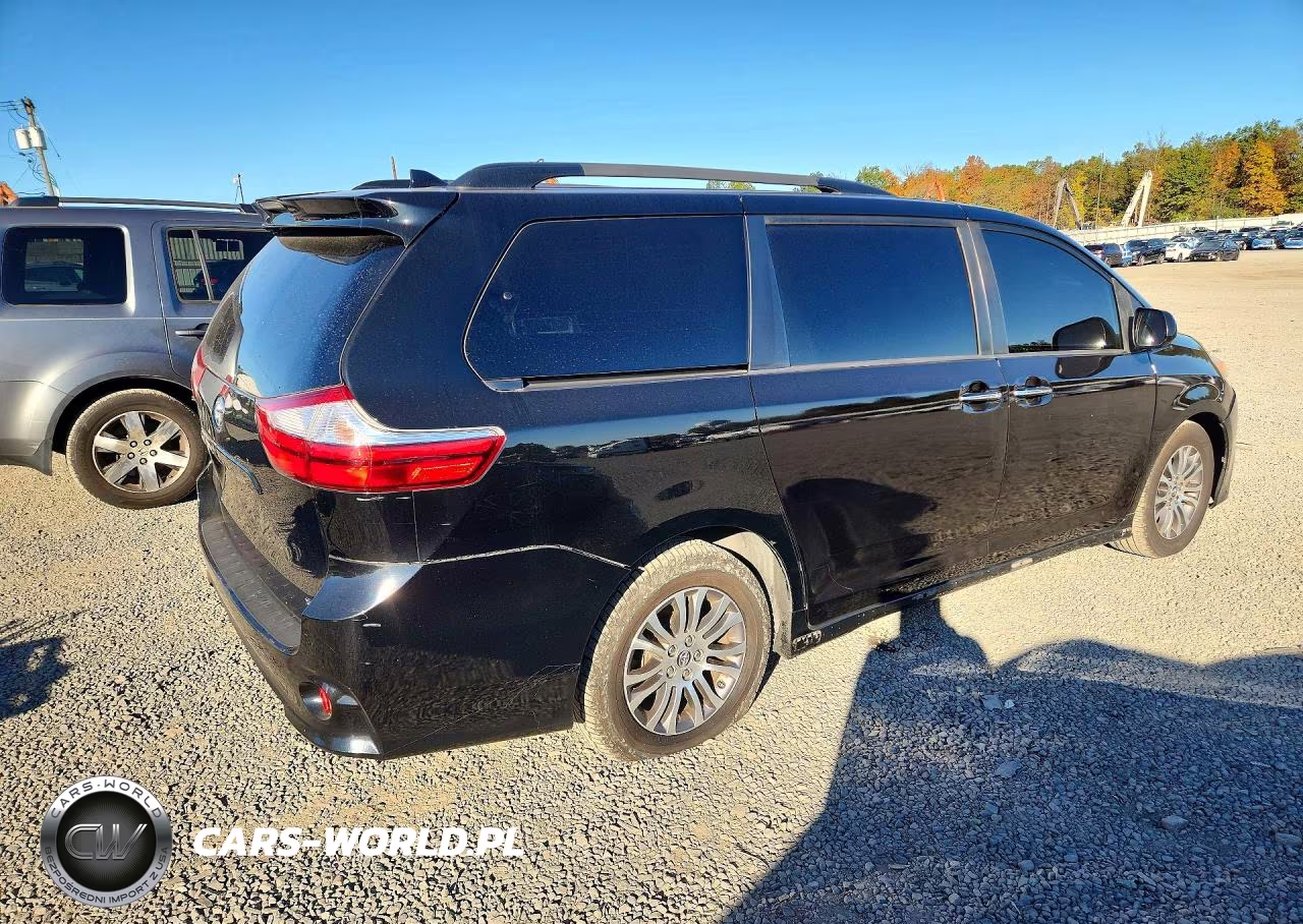 2019 Toyota Sienna Xle 8-Passenger VIN:5TDYZ3DC1KS990008 - 3