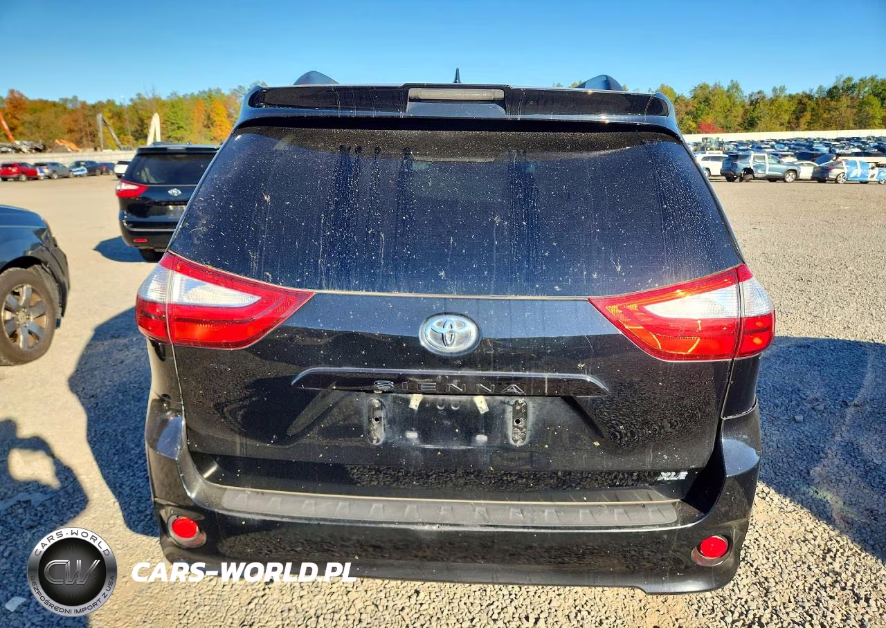2019 Toyota Sienna Xle 8-Passenger VIN:5TDYZ3DC1KS990008 - 6