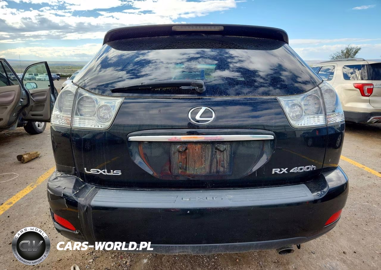 2007 Lexus Rx 400H VIN:JTJGW31UX72005184 - 6