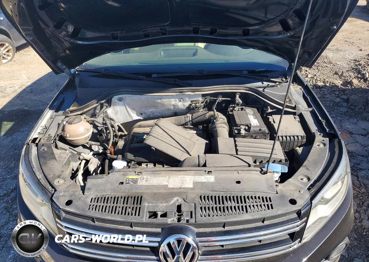 2013 Volkswagen Tiguan S VIN:WVGAV7AX5DW545085 - 12
