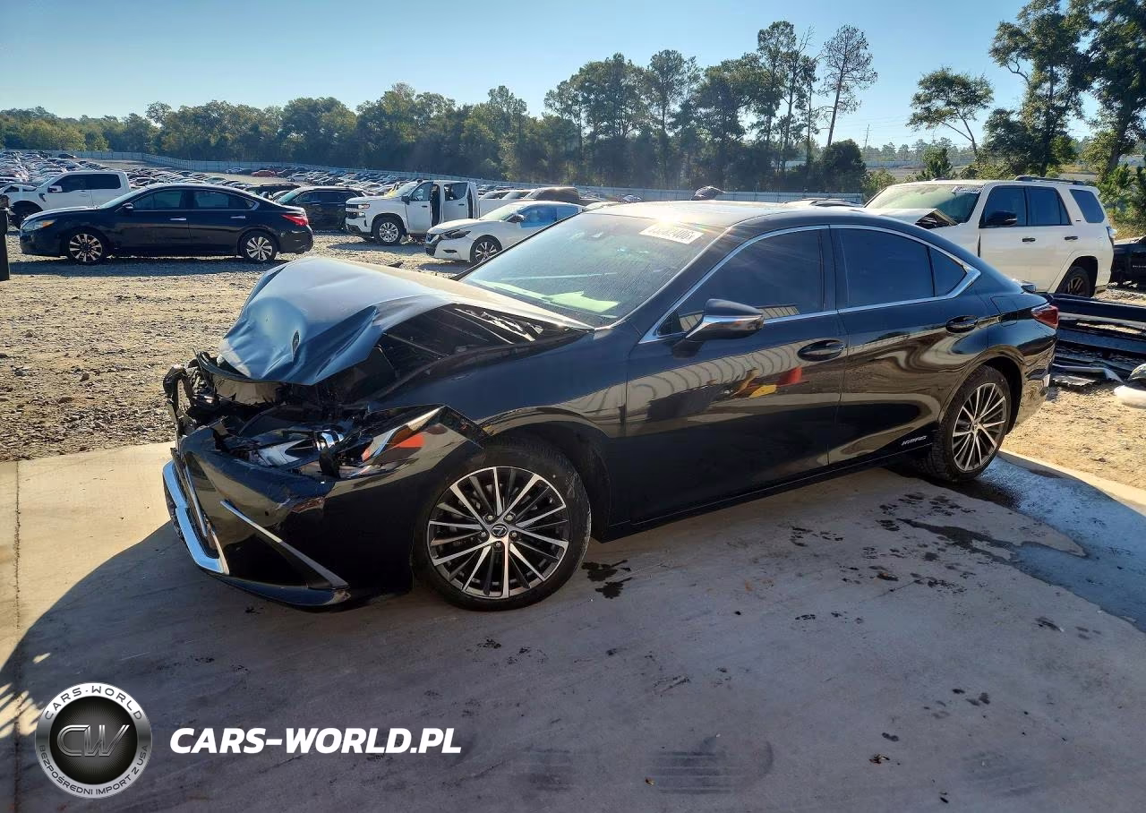 2022 Lexus Es 300H Base VIN:58ADA1C14NU017610 - 1