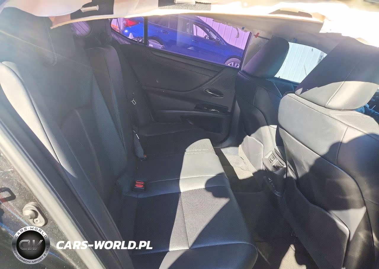 2022 Lexus Es 300H Base VIN:58ADA1C14NU017610 - 10