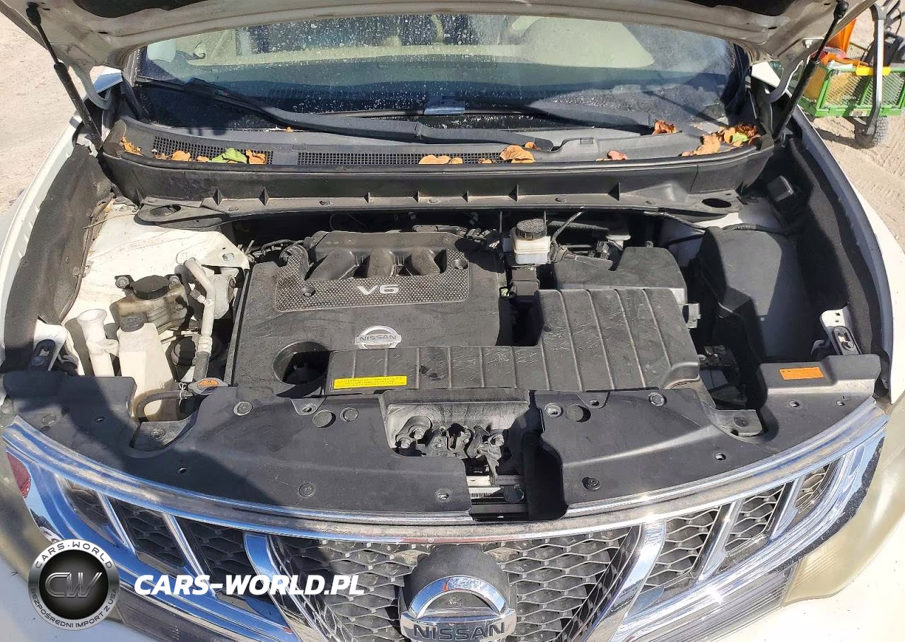 2014 Nissan Murano Le VIN:JN8AZ1MU6EW419220 - 12