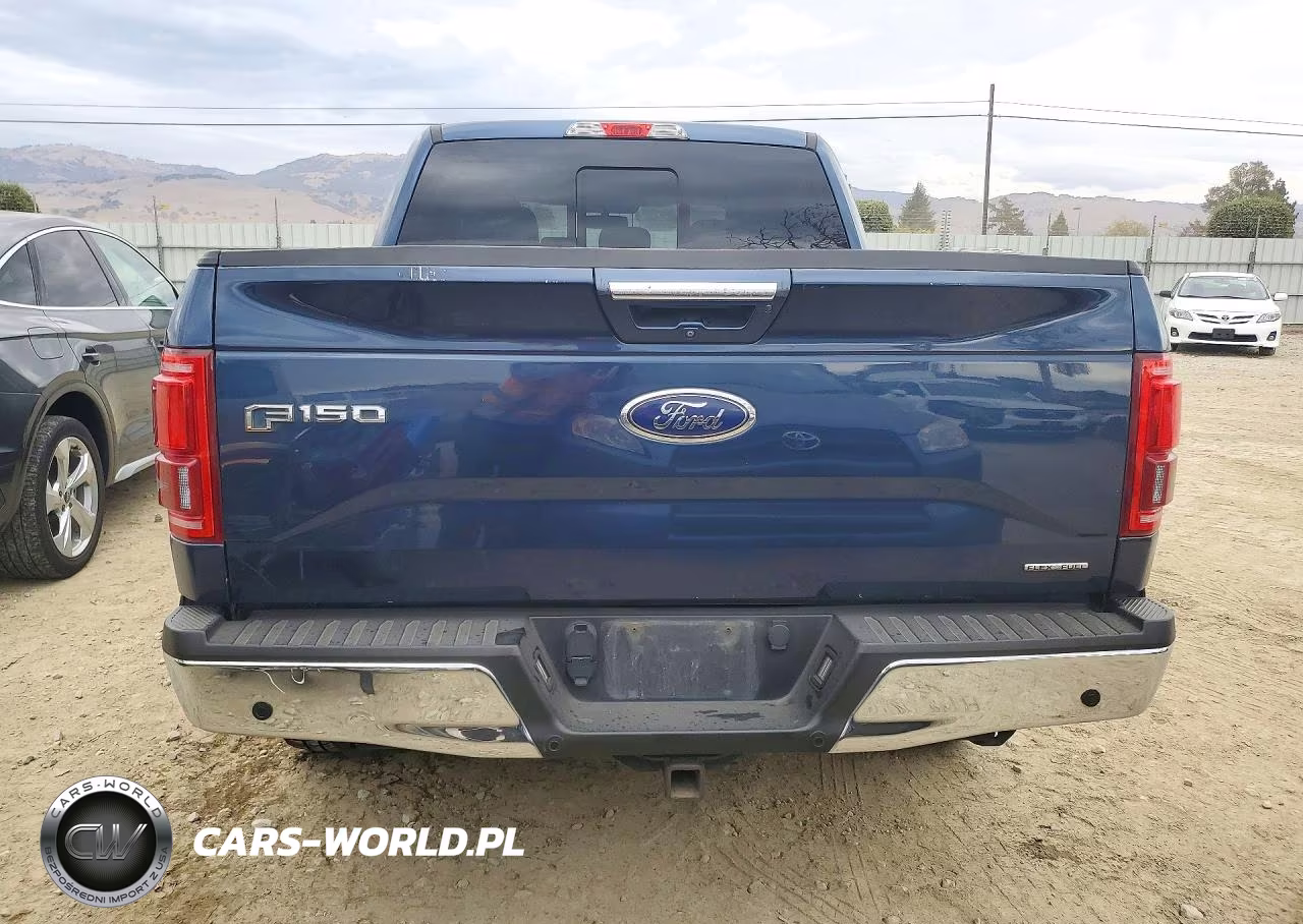 2016 Ford F150 Supercrew VIN:1FTEW1CF6GFA62973 - 6