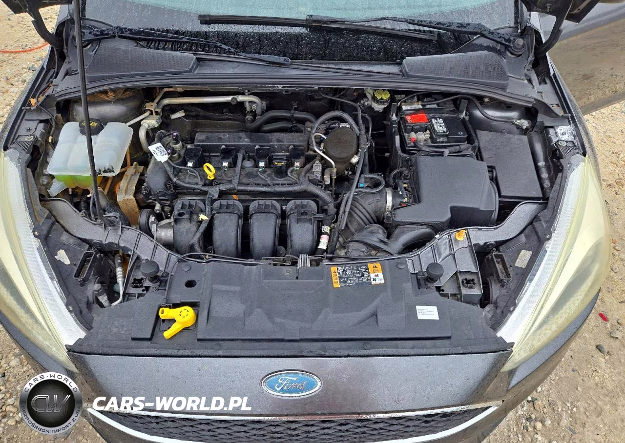 2015 Ford Focus Se VIN:1FADP3F20FL208531 - 11
