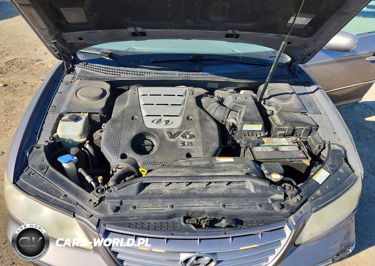 2007 Hyundai Azera Se VIN:KMHFC46F17A139641 - 11