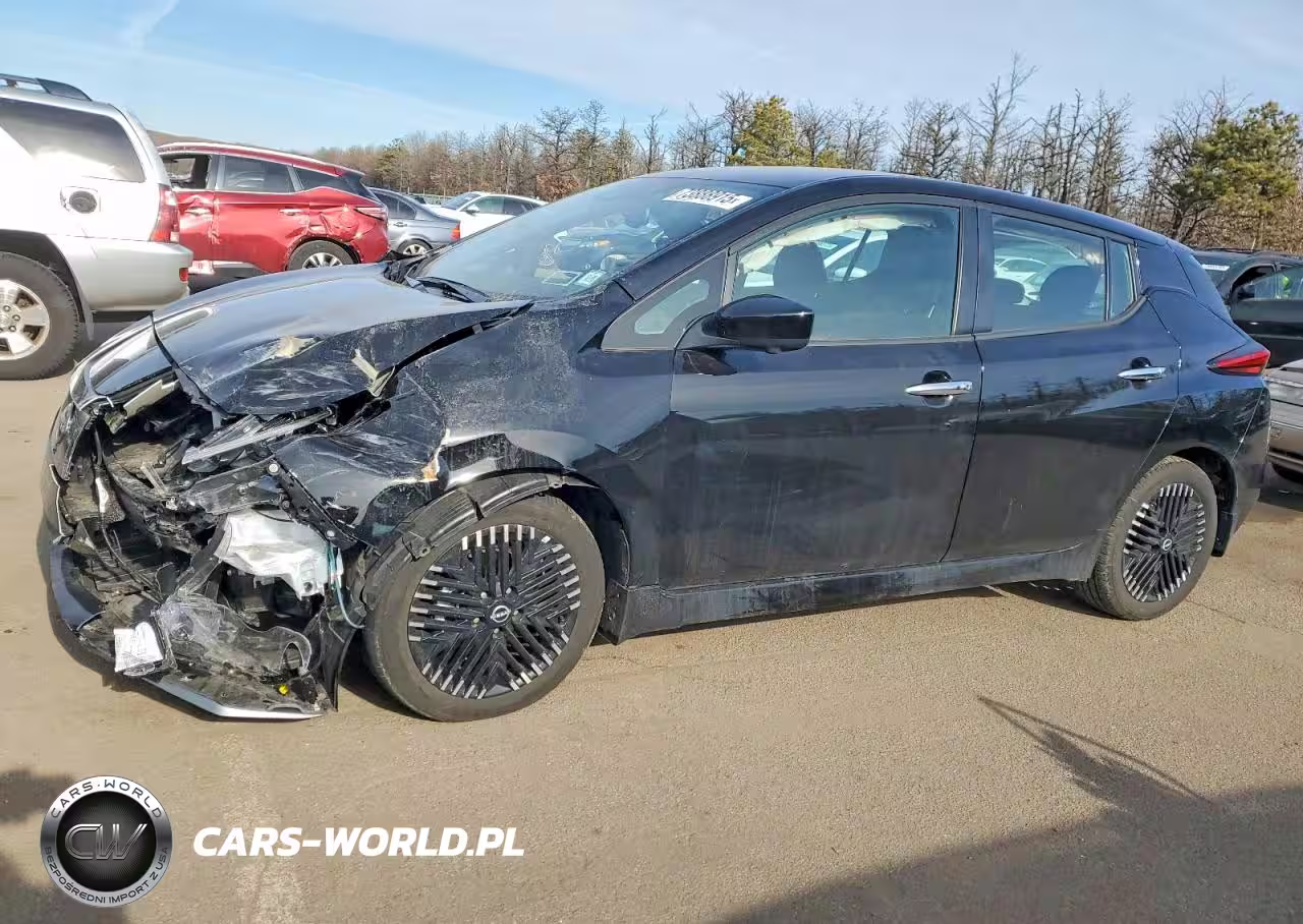 2025 Nissan Leaf Sv Plus