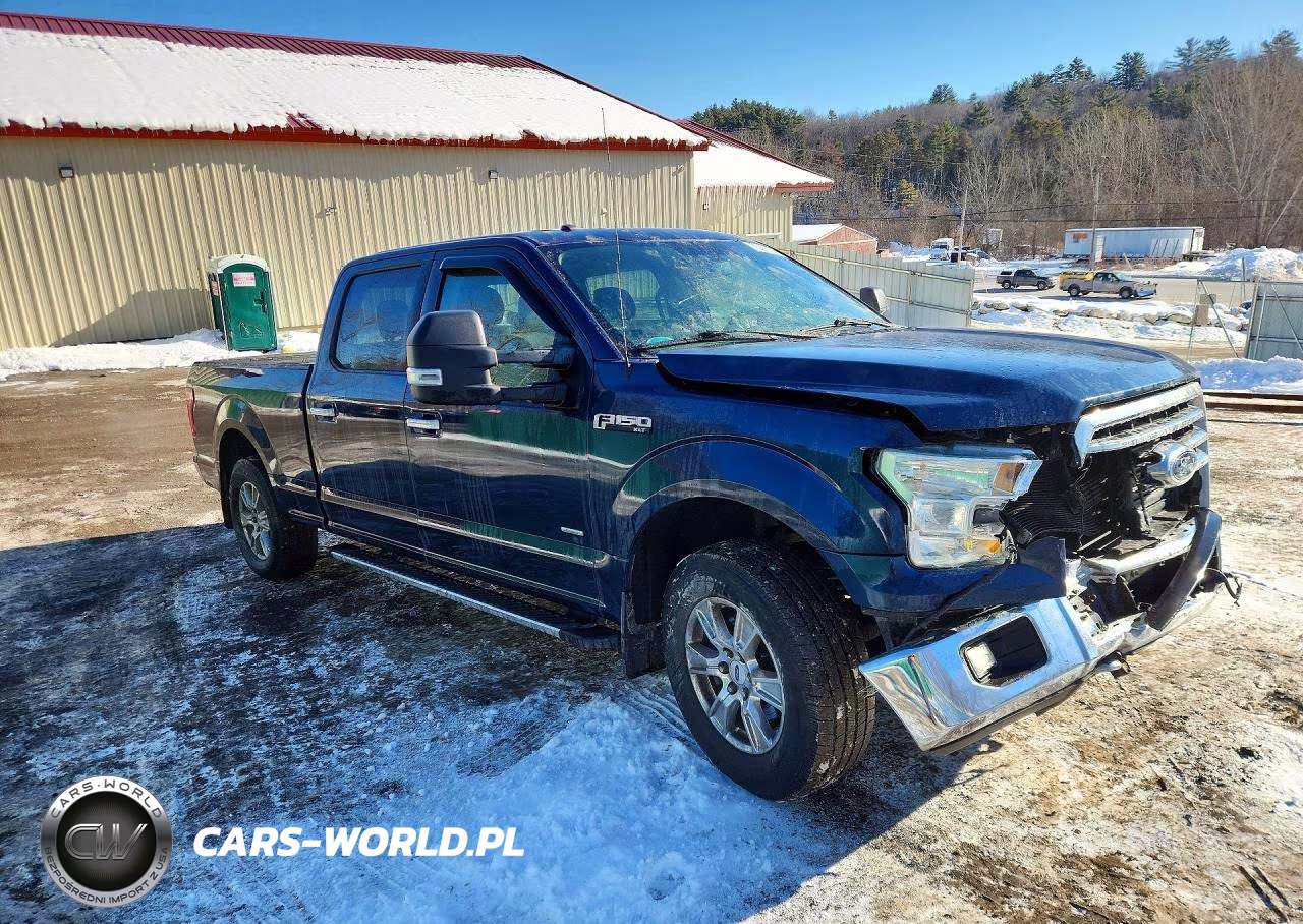 2016 Ford F150 Supercrew VIN:1FTFW1EG7GFA79517 - 4