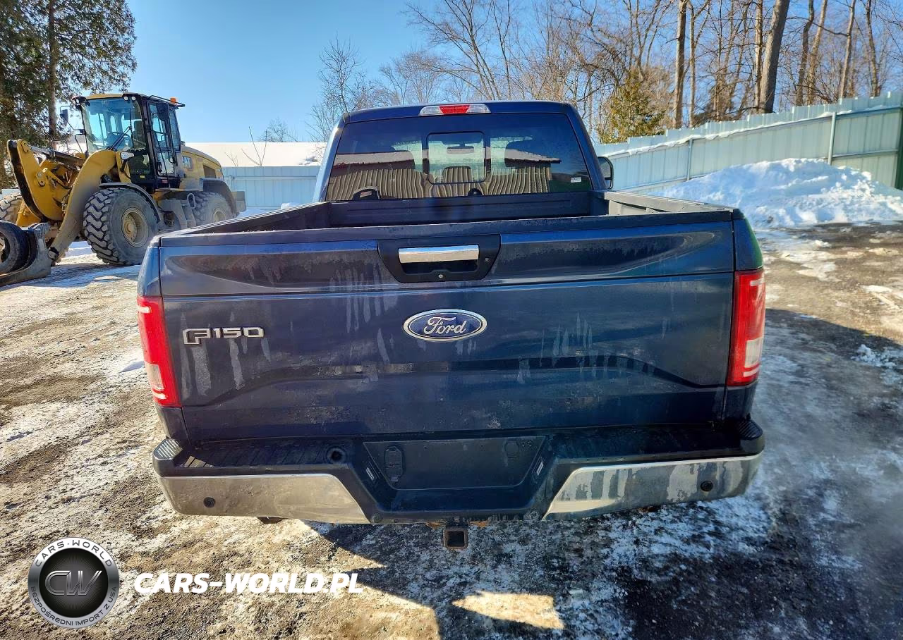 2016 Ford F150 Supercrew VIN:1FTFW1EG7GFA79517 - 6