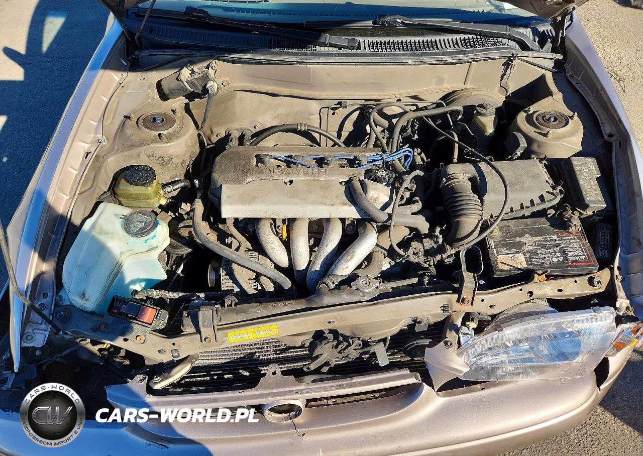 1998 Toyota Corolla Ve VIN:2T1BR12E2WC058509 - 11