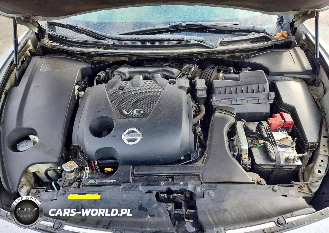 2010 Nissan Maxima 3.5 S VIN:1N4AA5AP9AC831917 - 11
