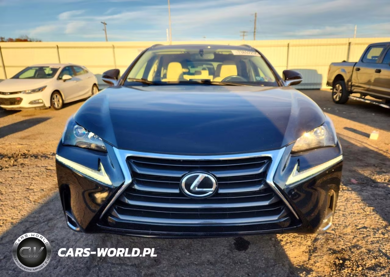 2015 Lexus Nx 200T VIN:JTJBARBZ2F2002297 - 5