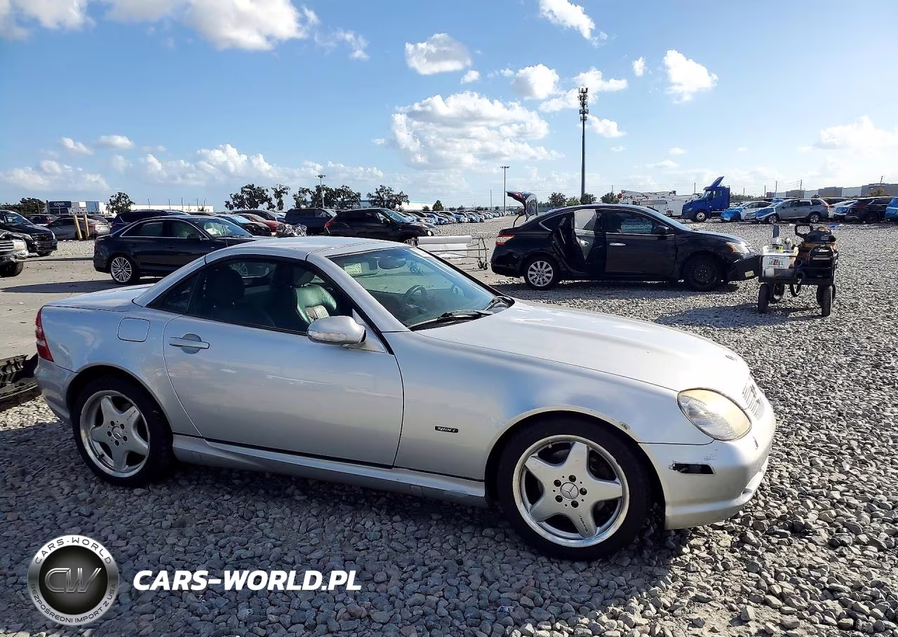 2001 Mercedes-Benz Slk 320 VIN:WDBKK65F31F209295 - 4