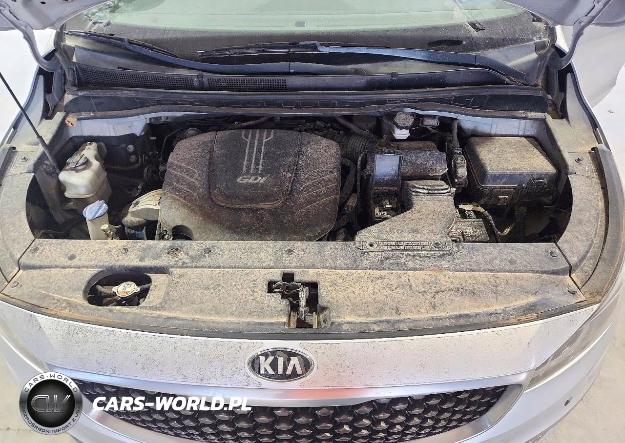 2015 Kia Sedona Sxl VIN:KNDME5C18F6028851 - 12