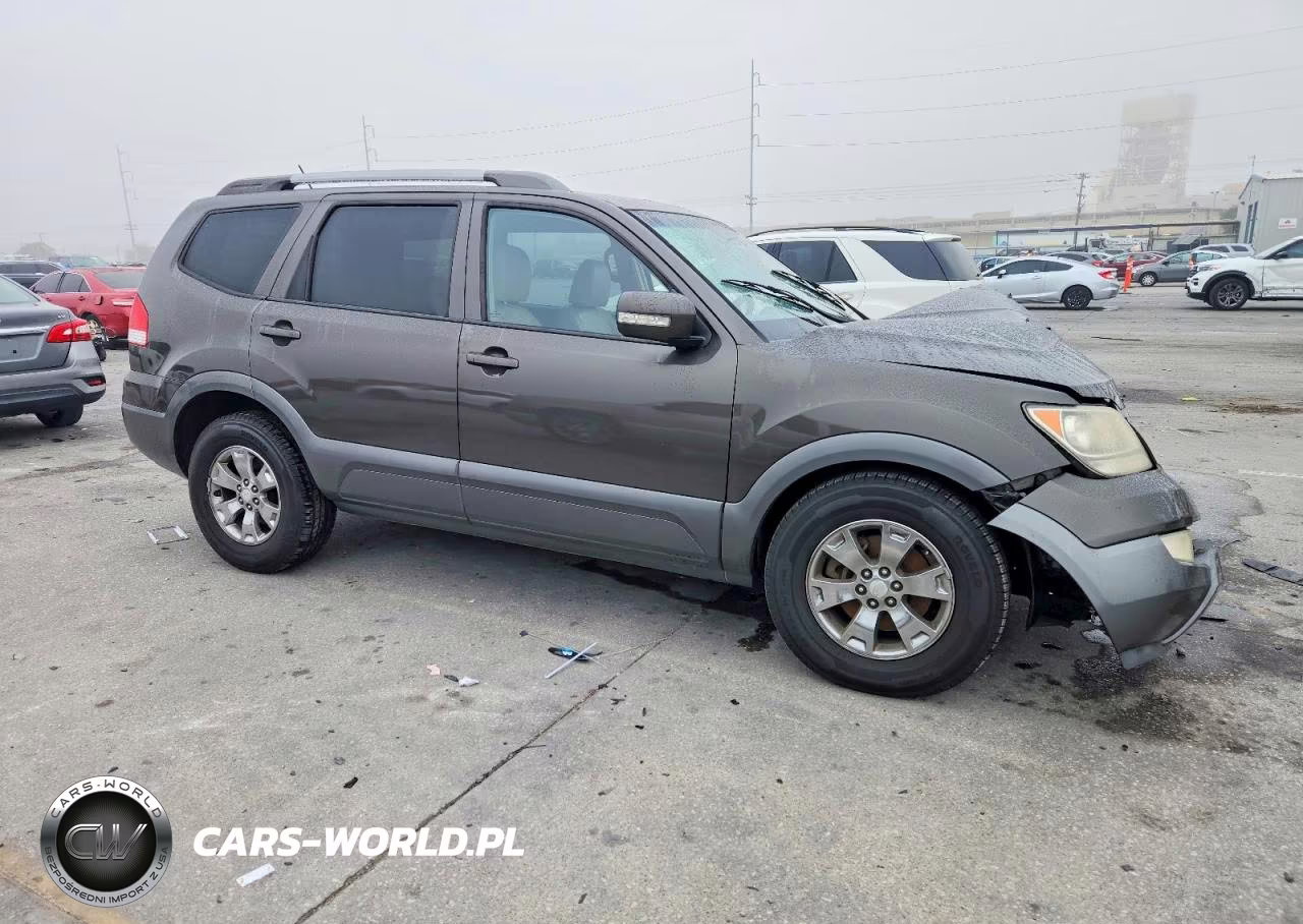 2009 Kia Borrego Lx VIN:KNDJJ741895028450 - 4