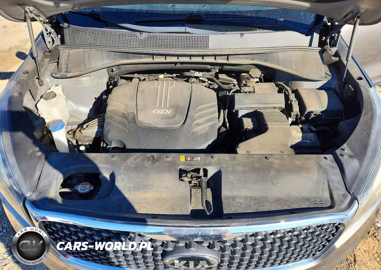 2017 Kia Sorento Lx V6 VIN:5XYPGDA51HG193678 - 12