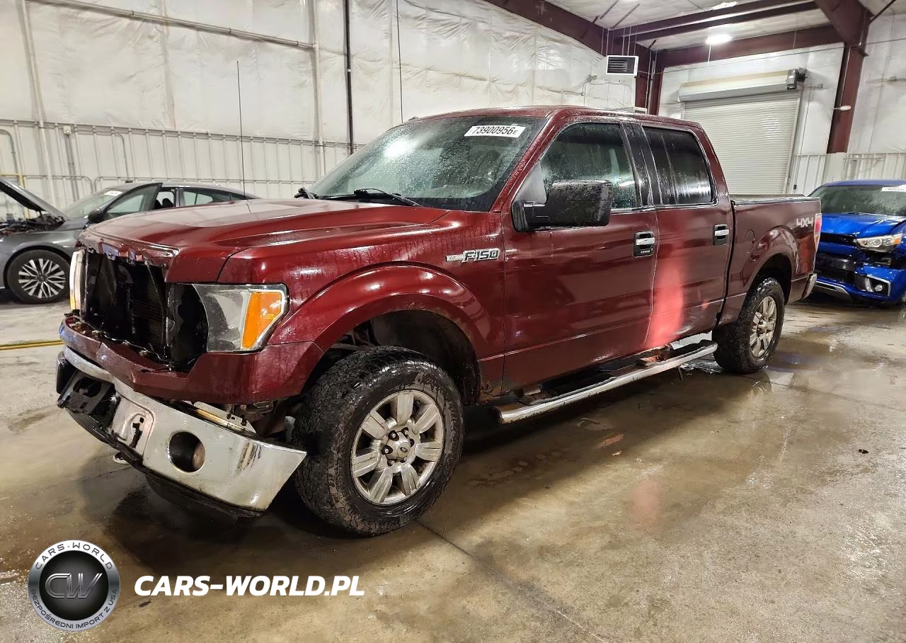 2010 Ford F150 Supercrew VIN:1FTFW1EV4AFC97680 - 1