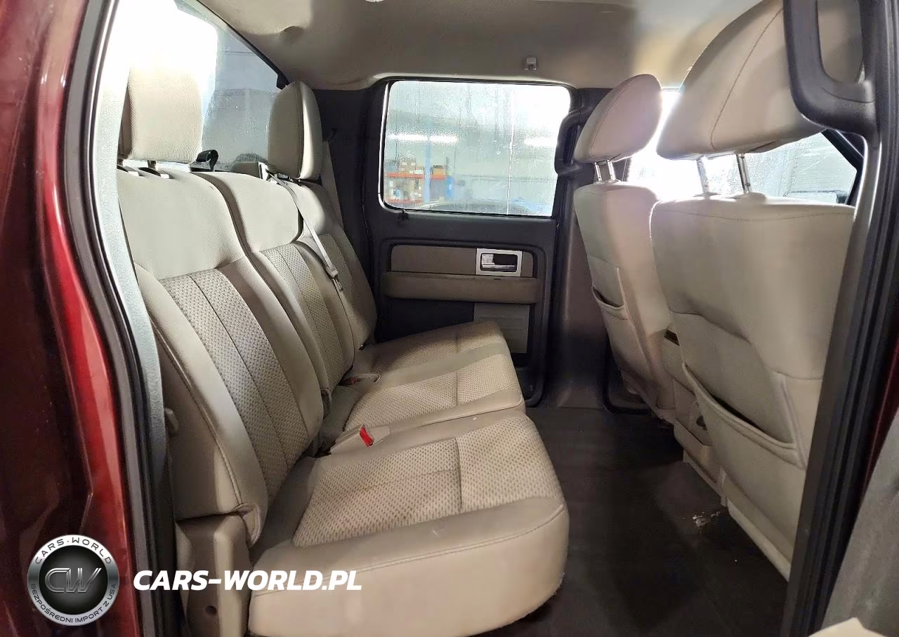 2010 Ford F150 Supercrew VIN:1FTFW1EV4AFC97680 - 10
