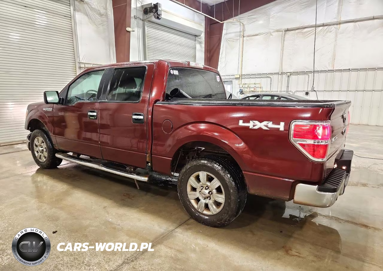 2010 Ford F150 Supercrew VIN:1FTFW1EV4AFC97680 - 2