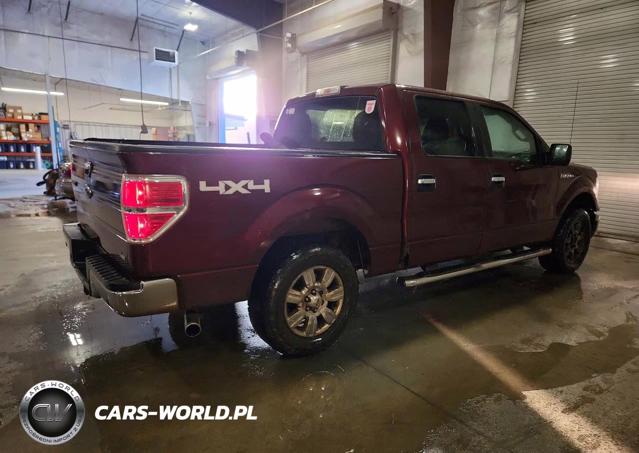 2010 Ford F150 Supercrew VIN:1FTFW1EV4AFC97680 - 3