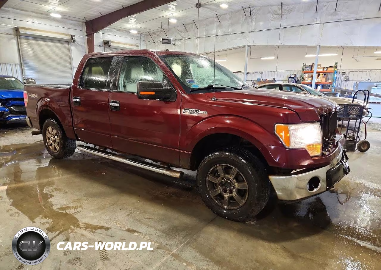 2010 Ford F150 Supercrew VIN:1FTFW1EV4AFC97680 - 4