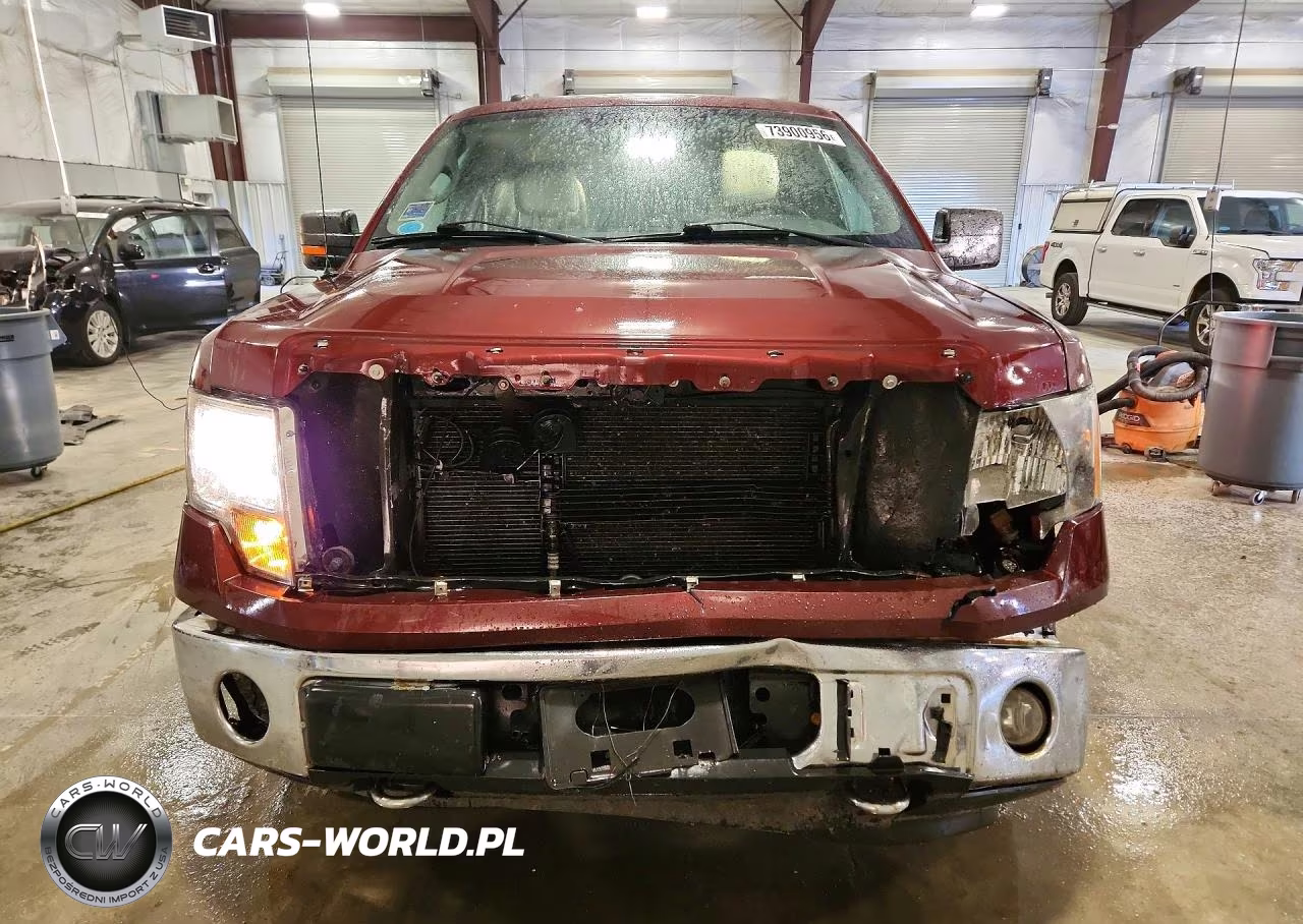 2010 Ford F150 Supercrew VIN:1FTFW1EV4AFC97680 - 5