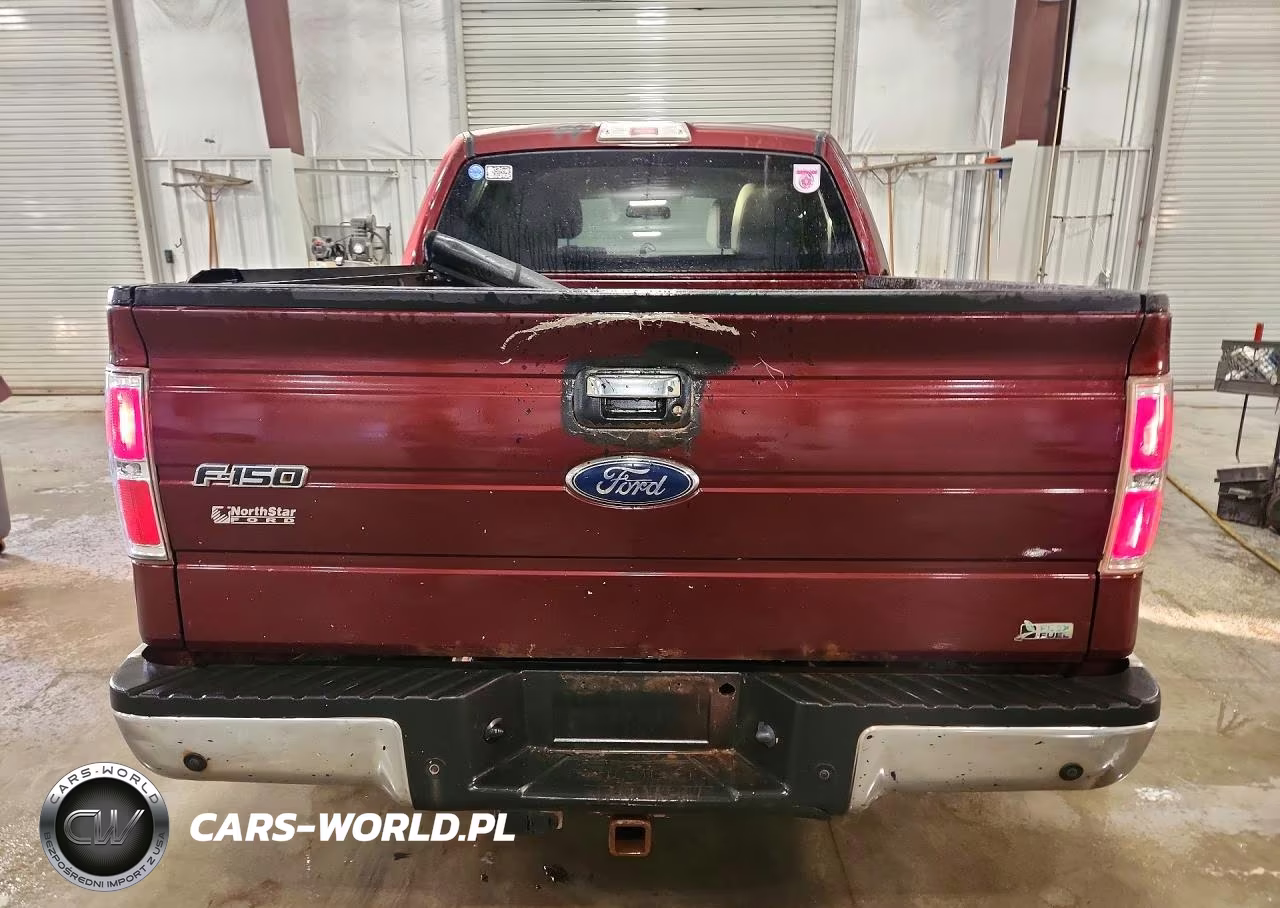 2010 Ford F150 Supercrew VIN:1FTFW1EV4AFC97680 - 6
