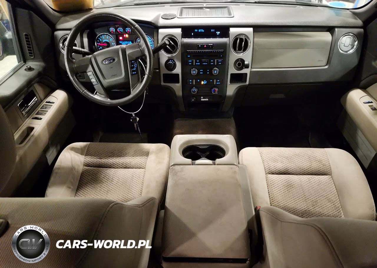 2010 Ford F150 Supercrew VIN:1FTFW1EV4AFC97680 - 8