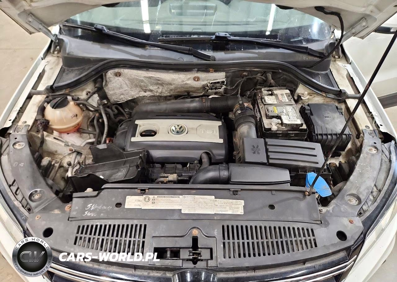 2012 Volkswagen Tiguan S VIN:WVGBV7AX5CW545462 - 12