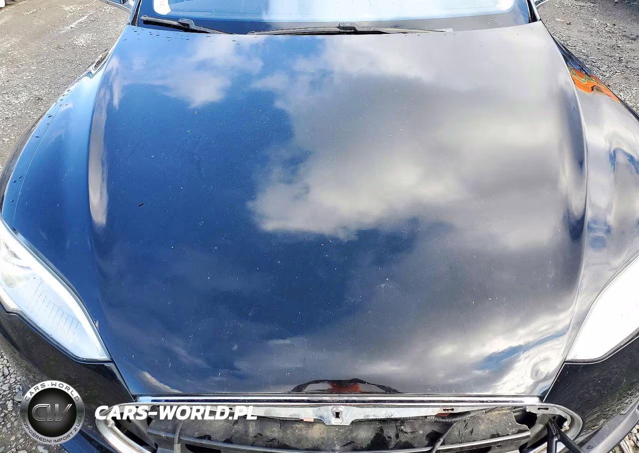 2015 Tesla Model S 70 VIN:5YJSA1S15FF100848 - 11