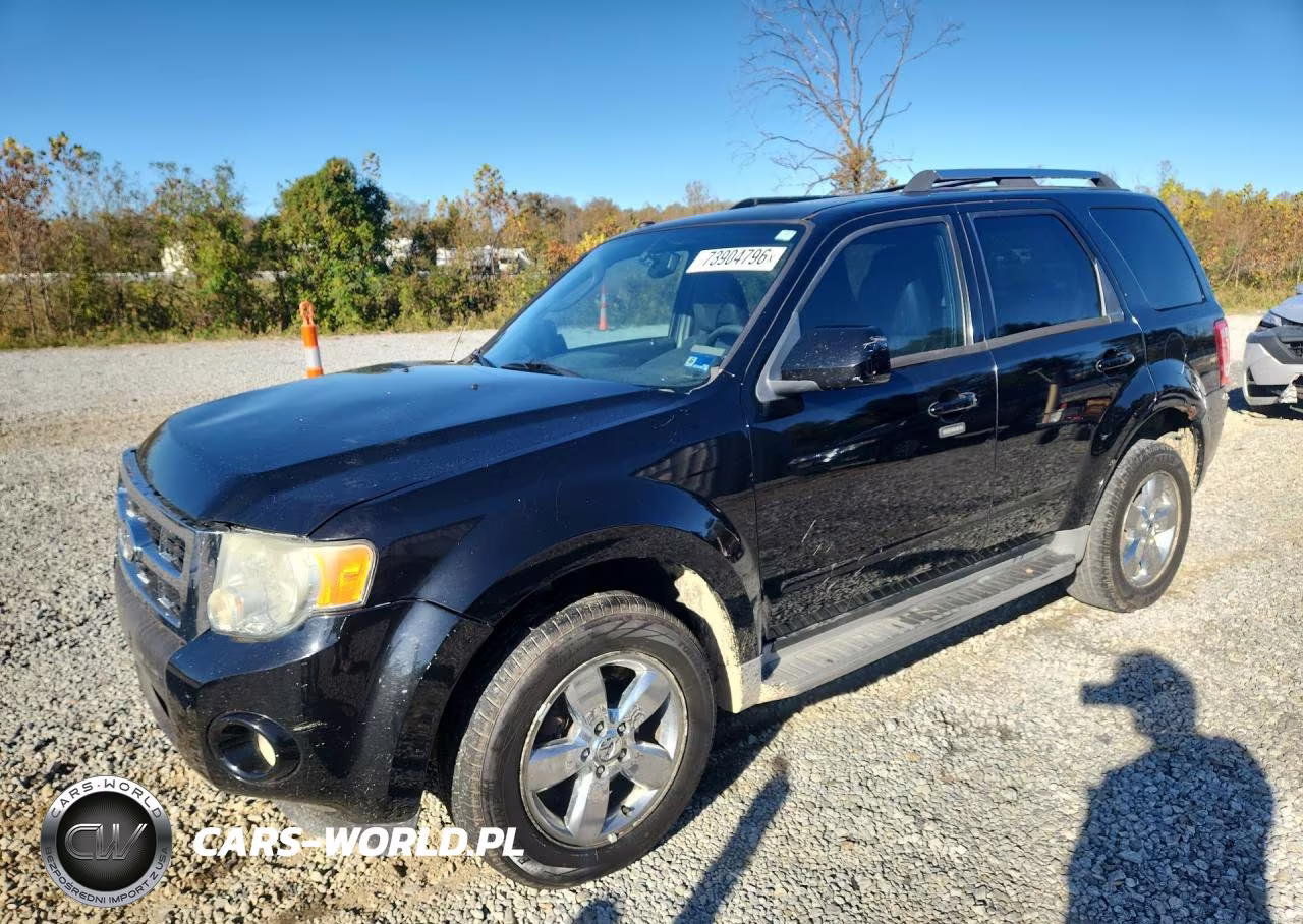 2010 Ford Escape Limited