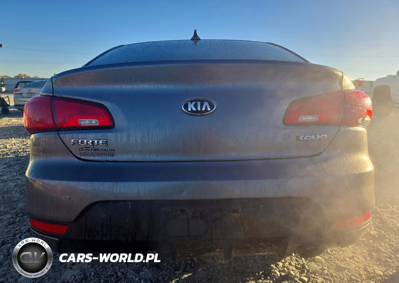 2015 Kia Forte Ex VIN:KNAFX6A87F5350618 - 6