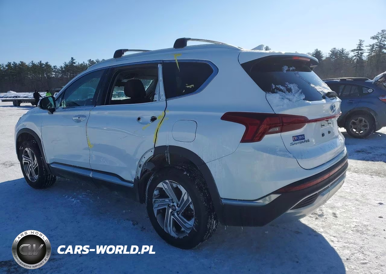 2022 Hyundai Santa Fe Sel VIN:5NMS2DAJ3NH446295 - 2