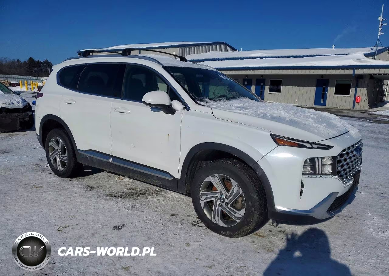 2022 Hyundai Santa Fe Sel VIN:5NMS2DAJ3NH446295 - 4