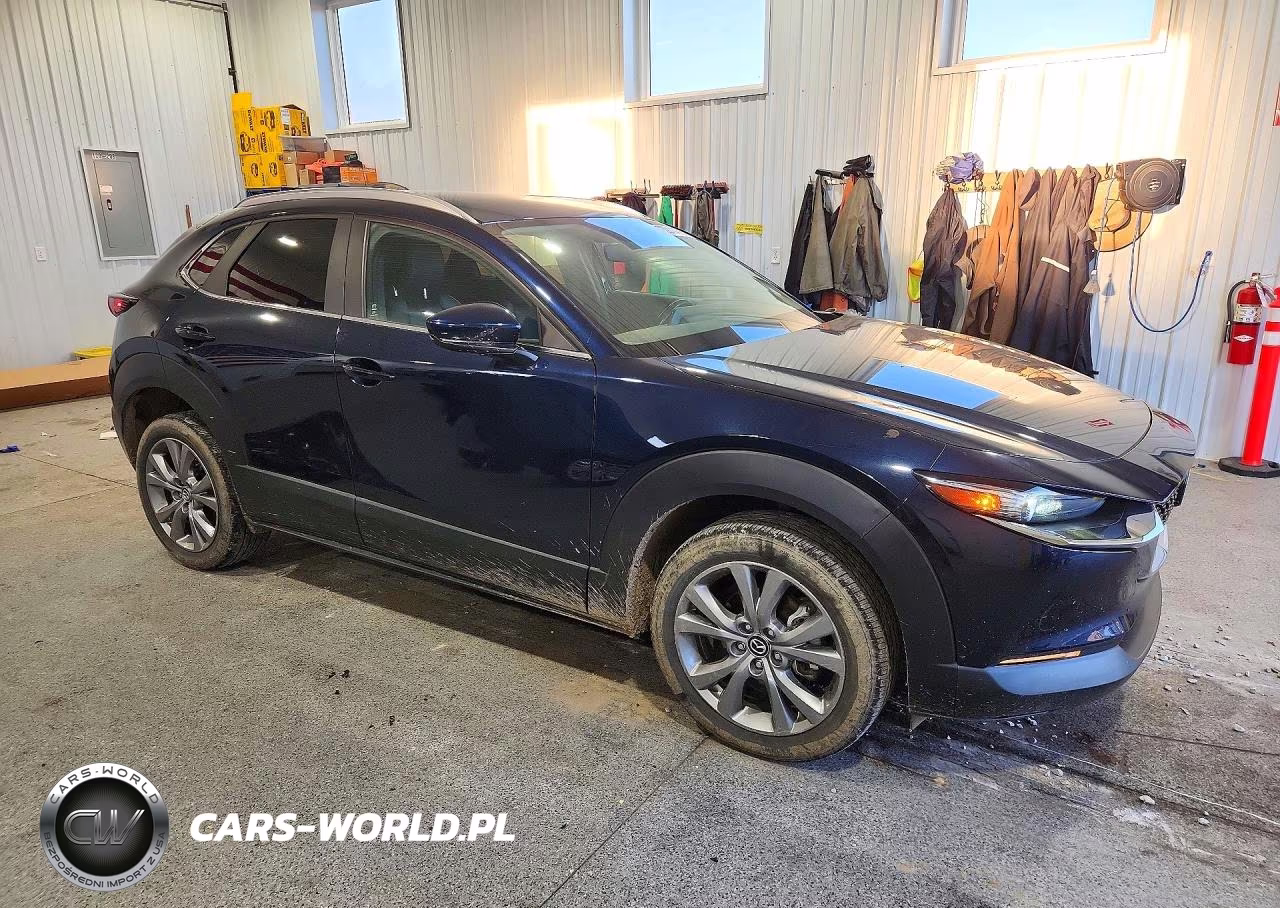 2023 Mazda Cx-30 Preferred VIN:3MVDMBCM5PM560778 - 4